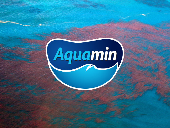 Natural Pharmaceuticals CalciumControl™ Aquamini logo on sinine, kujundatud veetilga ja laine kujuliseks, taustal türkiissinine ja lilla meri või ookean.