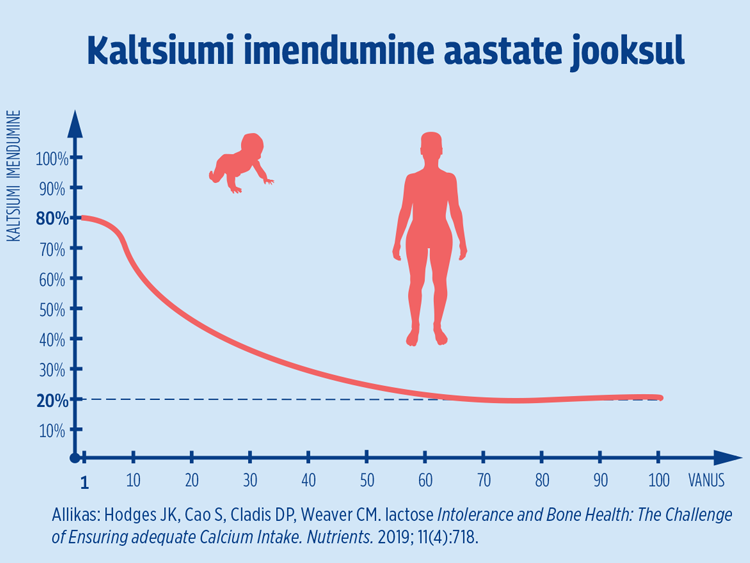 Natural Pharmaceuticals CalciumControl™ Graafik, mis näitab kaltsiumi imendumist inimese elu jooksul. Graafiku joon näitab, et kaltsiumi imendumine on kõrgeim varases lapsepõlves (umbes 80%) ja langeb vanusega järk-järgult, jõudes vanemas eas umbes 20%.